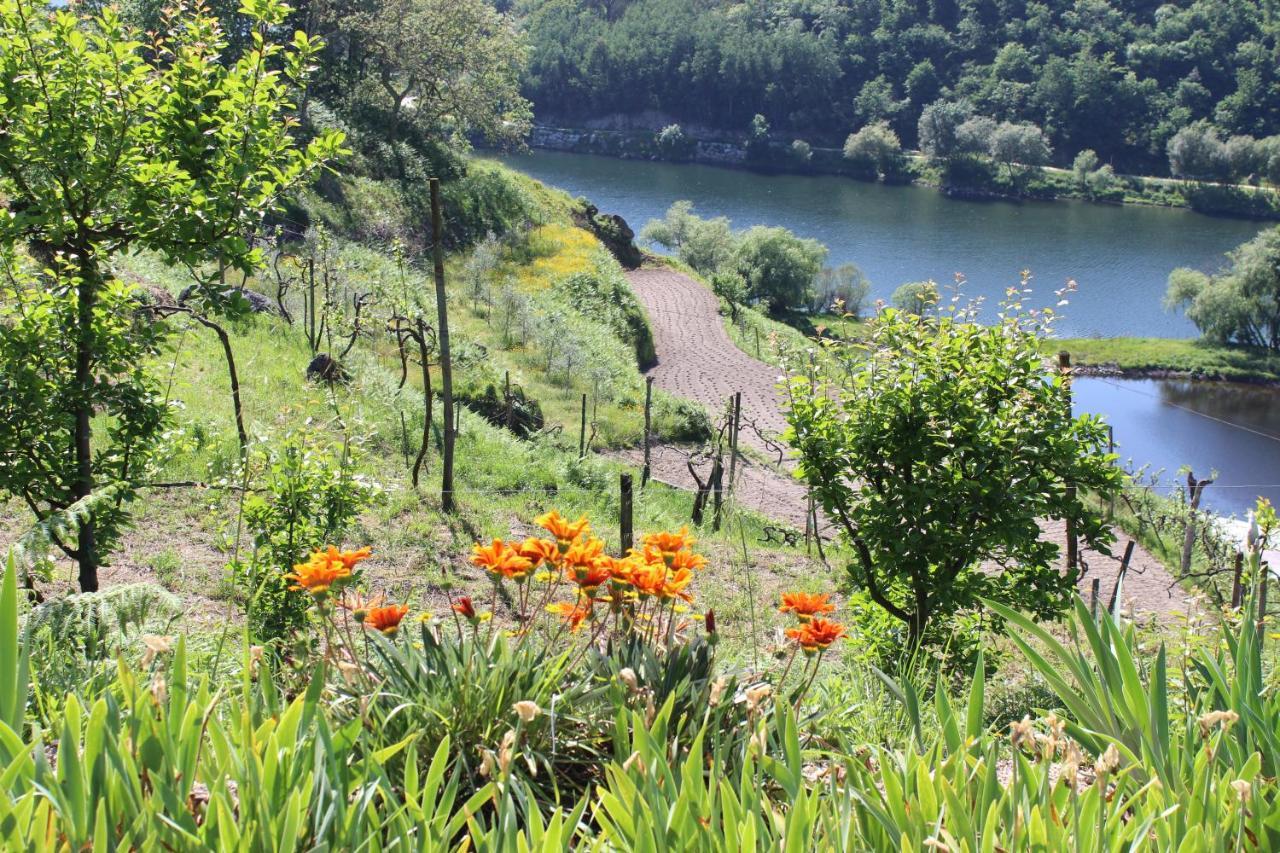 "Bouca Drigues" Casa Antiga De Pedra Com Piscina E Vista Rio Villa Amarante Kültér fotó
