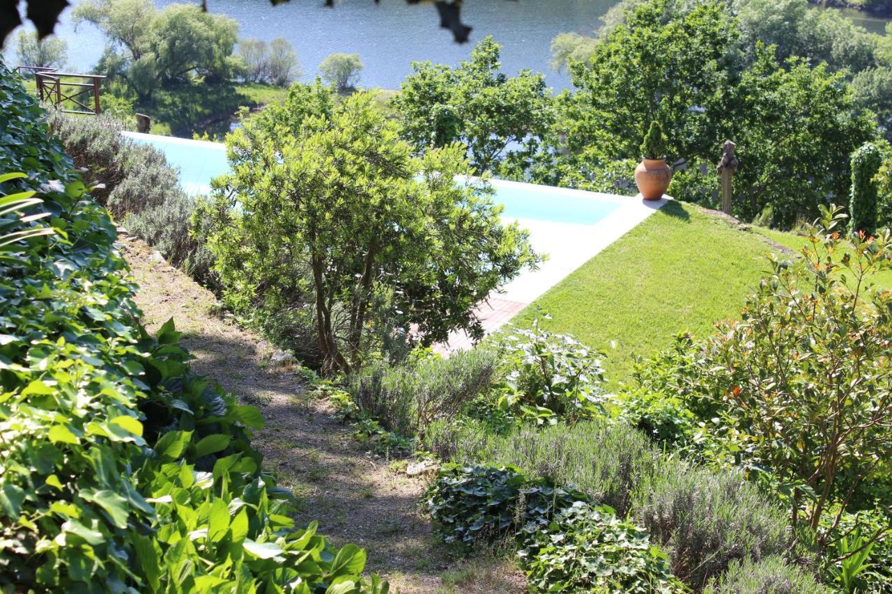 "Bouca Drigues" Casa Antiga De Pedra Com Piscina E Vista Rio Villa Amarante Kültér fotó