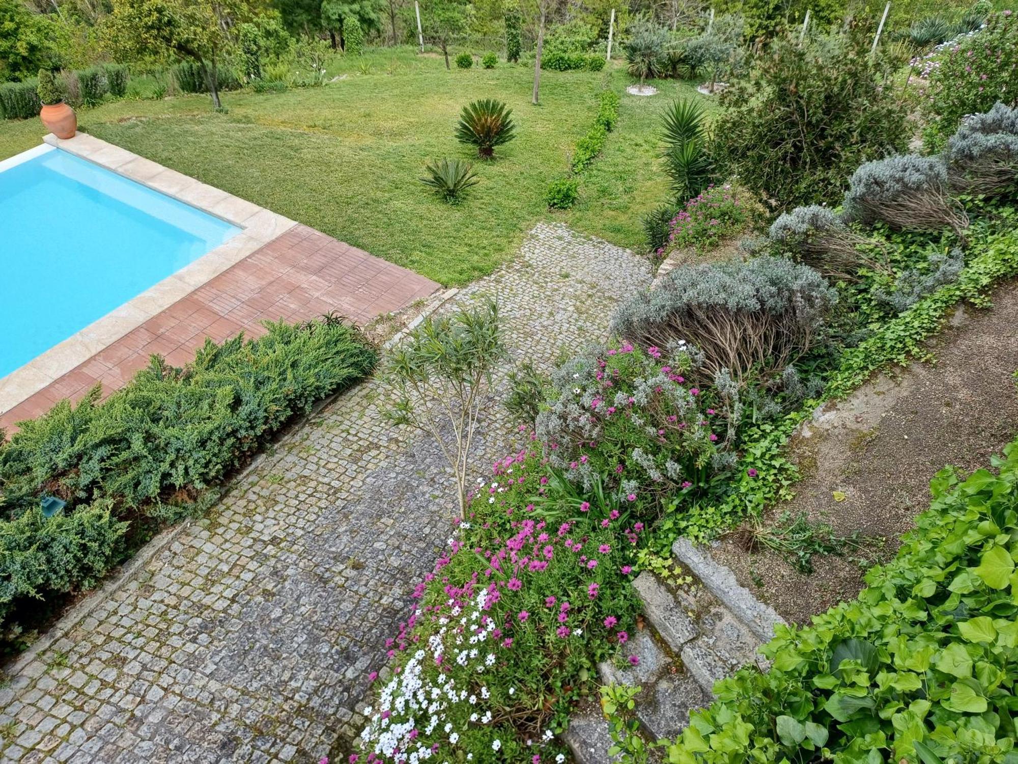 "Bouca Drigues" Casa Antiga De Pedra Com Piscina E Vista Rio Villa Amarante Kültér fotó